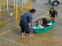 「降雨量、例年並み」　タイの専門家、大洪水の可能性否定 画像