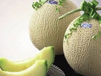JAL、日本郵便と提携して日本食のシンガポールへの輸出促進で協力 画像