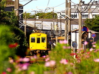 銚子電鉄、車両不足で大幅減便のダイヤ改正…11月21日 画像