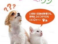 国交省や環境省など、11月を「エコドライブ推進月間」に設定 画像