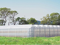 デンソー、国内農地向け生産支援システムを開発 画像