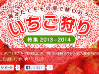 マピオン、いちご狩り特集をリリース 画像