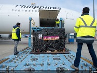 エアバス、フィリピン航空と共に台風ヘイヤンの被害者に対して4度目の援助 画像