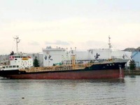 国土交通省、内航社船実習に参加した学生・乗組員にアンケート…前向きな意見が多数 画像