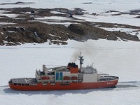 南極観測船「しらせ」が3年ぶりに昭和基地へ接岸…ラミング総数2227回 画像