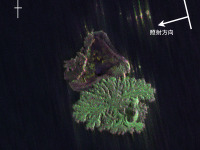 JAXA、航空機搭載Lバンド合成開口レーダ2で小笠原諸島西之島付近に出現した新島を観測 画像