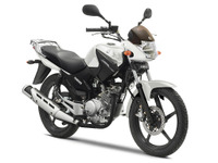 ヤマハ YBR125 2014年モデル発売…セミカウル一体型ヘッドライト採用 画像