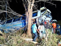 タイ東北で長距離バス事故、運転手死亡 画像
