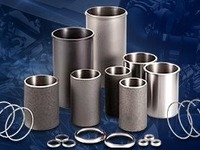 TPR、ブラジルにシリンダライナ製造拠点を設立 画像