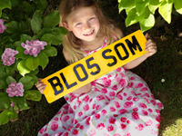 自然を愛するナンバープレート、とか。 画像