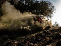 【WRC 第3戦】ラリーメキシコ、高度への対応がカギに 画像