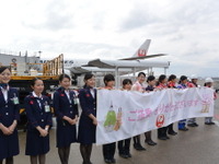 JALひなまつりフライト、藤機長「私自身もすごく楽しみにしている行事」 画像