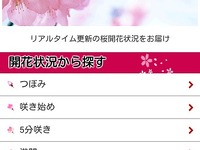 インクリメントP、スマホ向けMapFanでお花見特集を公開 画像