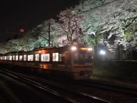 新京成電鉄、陸自の桜並木をライトアップ 画像