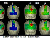 NEXCO中日本など、高速走行時におけるドライバーの脳活動可視化に成功 画像
