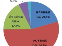 自動運転、4人に3人が「不安を感じる」…インターネットコム調べ 画像