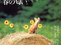 100円ライターでクルマ全焼、こんなにカンタン? 画像