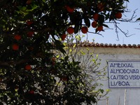 【WRC】6月にラリーポルトガルの本拠地移動を決定 画像