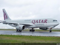 カタール航空がデリー発の貨物輸送を開始 画像