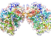 JAXAと3大学、特定の酵素の立体構造および基質認識機構を解明 画像