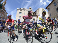 【ジロ・デ・イタリア14】マシューズが陥落しエバンスが首位に 画像