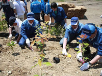 東洋ゴム、震災復興プロジェクト「千年希望の丘 植樹祭」に協賛 画像