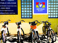 自転車無料レンタルが移動を変える 画像