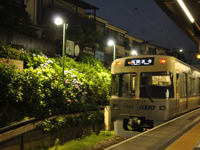 京王井の頭線、6月9日から恒例のアジサイライトアップ…東松原駅構内 画像