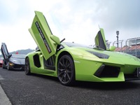 ランボルギーニ アヴェンタドール、駆け抜ける「闘牛」の群れ［写真蔵］ 画像