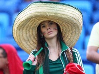 頂点へ！母国をひたむきに応援する美女サポーター 画像