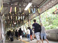 南海、今夏も極楽橋駅に「風鈴トンネル」設置 画像