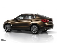 新型BMW『X6』 、欧州でBMWインディビジュアル設定…顧客に合わせたカスタマイズ提案 画像