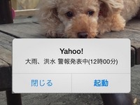 いち早く警報をキャッチ…Yahoo!が気象警報のプッシュ通知開始 画像