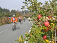 洋梨がふるまわれる、山形の自転車イベント…ツール・ド“ラ・フランス“ 画像