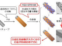 燃料電池スタックの白金使用量を10分の1に…九大などが技術を開発 画像
