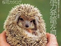 運転中「おかあさんが魔女になった」と子どもが…… 画像