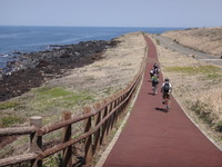 1周40km、伊豆大島をお得にサイクリングしてみた 画像