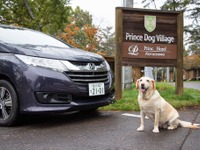 ホンダ オデッセイで愛犬と訪れる軽井沢…純正ペット用アクセサリーも活躍 画像