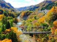 紅葉の見頃は？　ウェザーニューズが予想を発表 画像