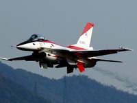 激しい機動飛行に異機種の大編隊…岐阜基地航空祭が開催 画像