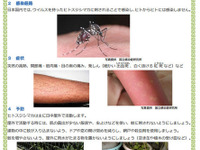 2015年のデング熱対策…検査キットや保険適用化を進める東京都 画像