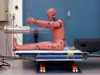 人体により近く---次世代ダミーで日米協力 画像