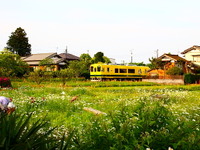 いすみ鉄道、土休日限定の年間パス発売 画像