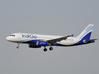 インディゴ、カタール航空への株式売却を否定 画像