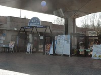 都内最大級!?　国営昭和記念公園の「ドッグラン」に行ってみた 画像