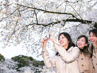 「乗り継ぎがないので、のんびりおしゃべり」…女子が惚れる「バス旅」の魅力 画像