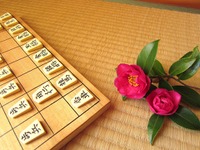 人間とコンピューターが対戦する将棋「電王戦」…19時間の死闘に波紋 画像