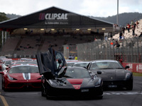 オーストラリアで大人気のレース「CLIPSAL2015」…跳ね馬づくしのパレードラン 画像