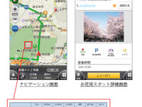ナビタイム、桜の開花状況をリアルタイムに提供…1日2回更新 画像