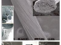 東レ、タイヤなど向け繊維補強材のアジア生産・販売体制を構築 画像